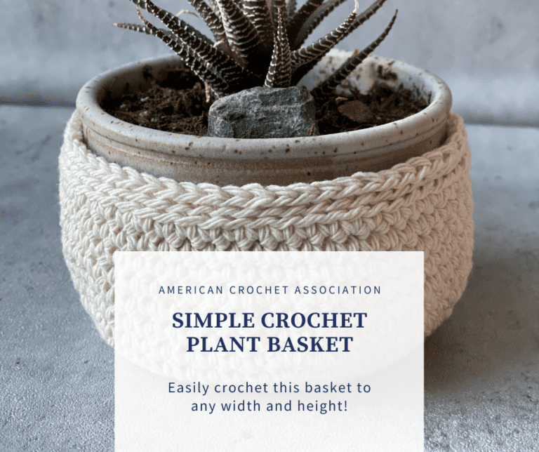 crochet basket with succulent plant
