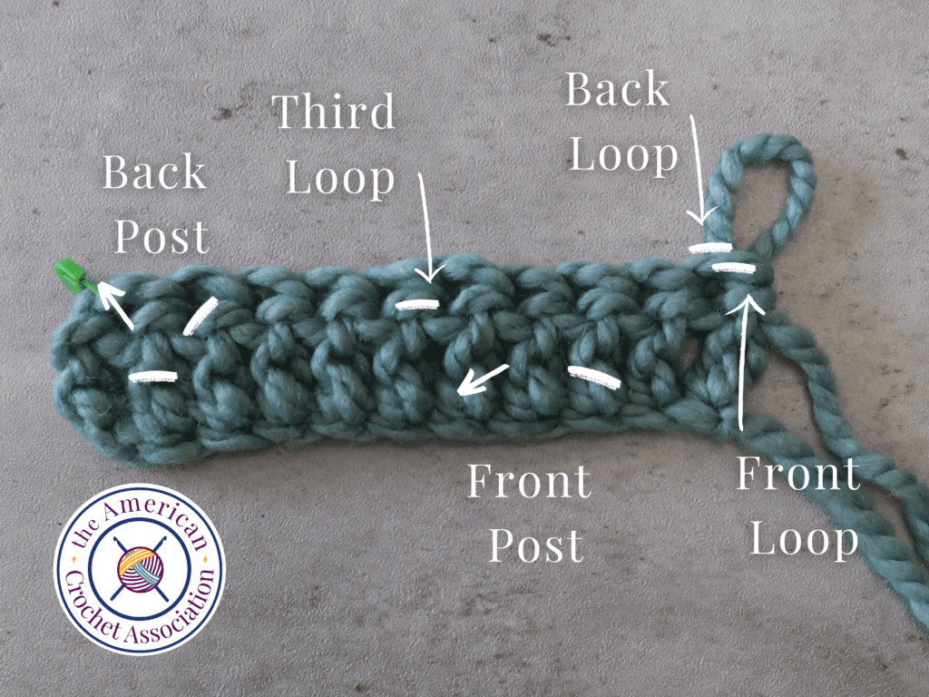 Back Side of double crochet row showing back post, front post, back loop and front loop.