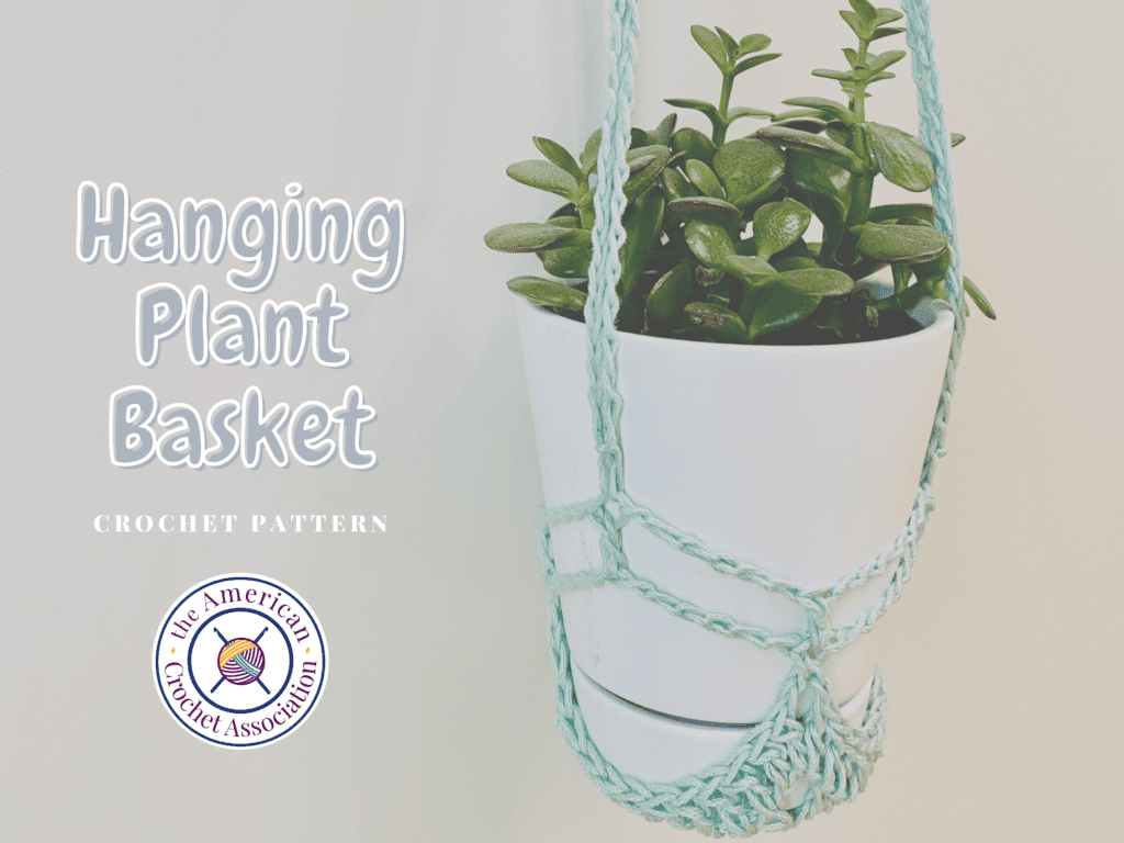 Crochet plant basket holding white flower pot and green succulent