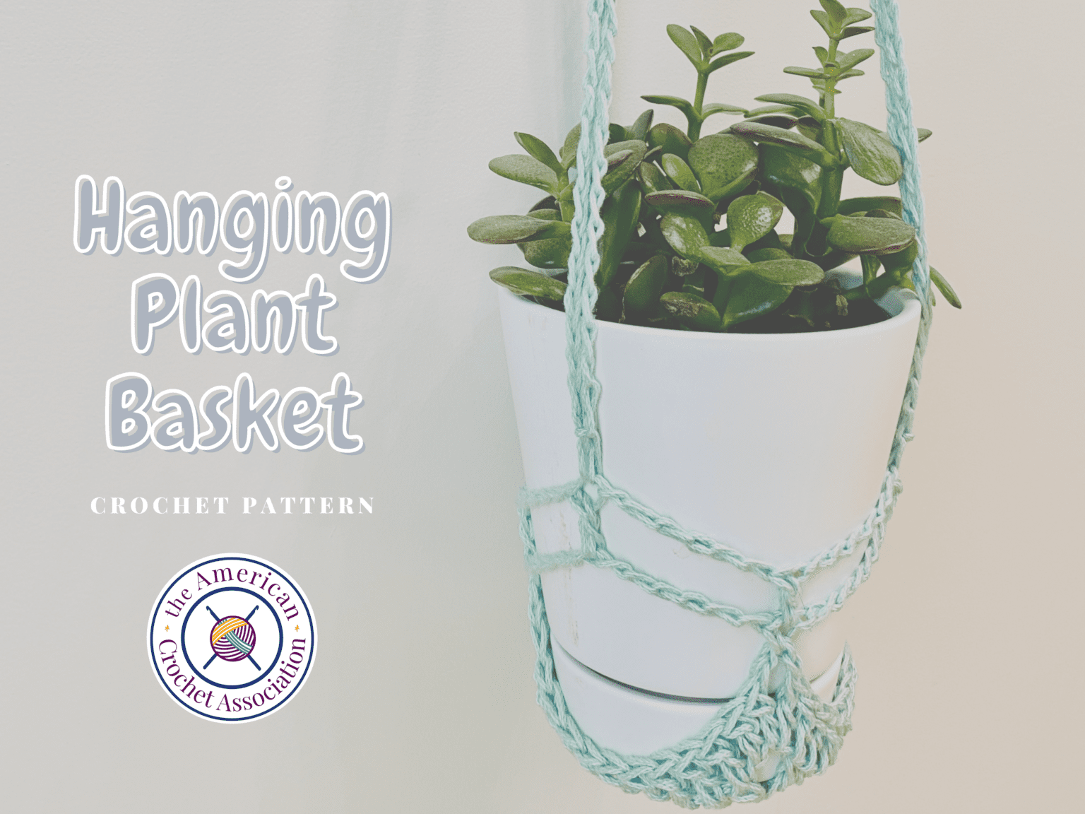 Hanging Plant Basket Easy Crochet Pattern American Crochet Association