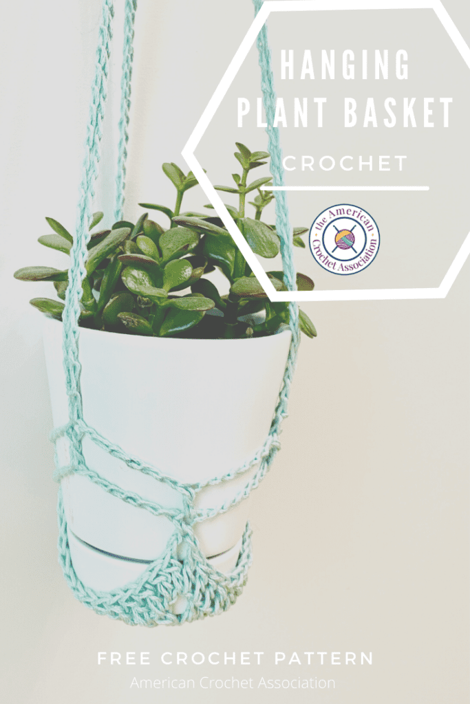 Crochet plant basket holding white flower pot and green succulent