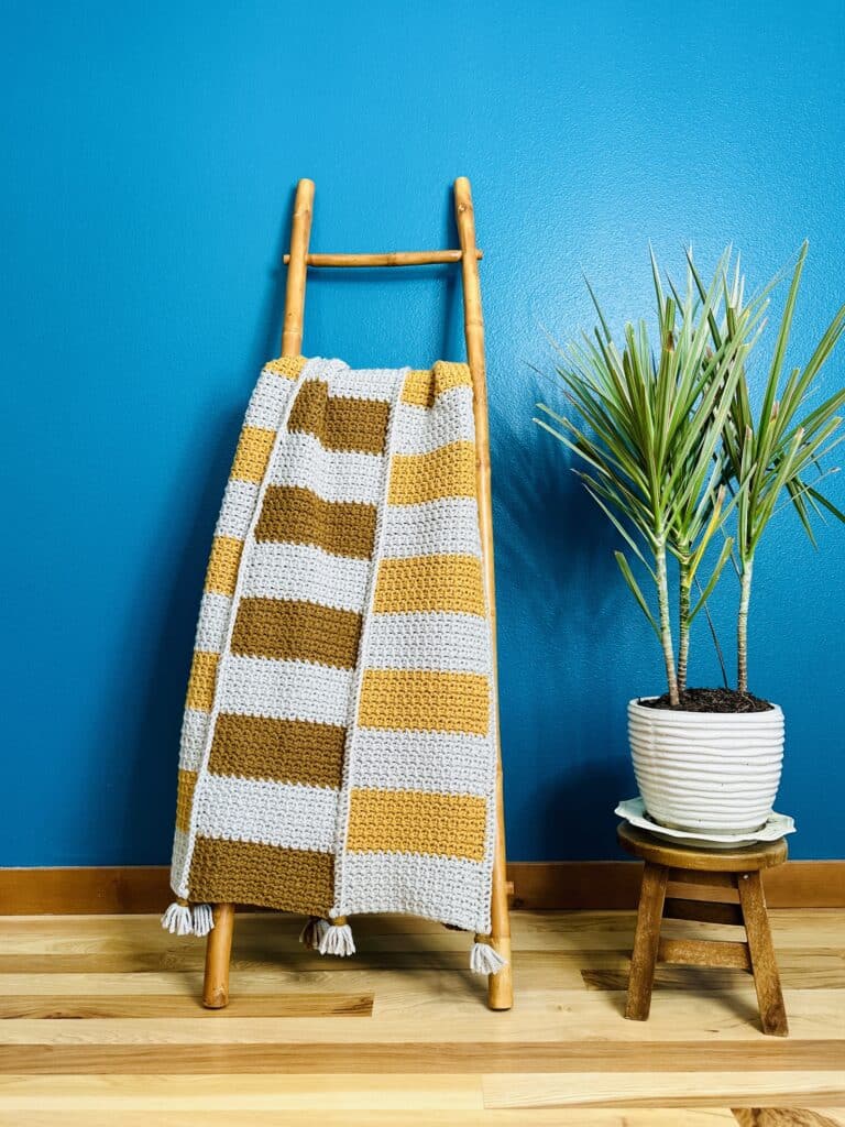 Salena Baca Crochet | My Crocheted Home Pattern Book | Crochet Home Decor | American Crochet Association