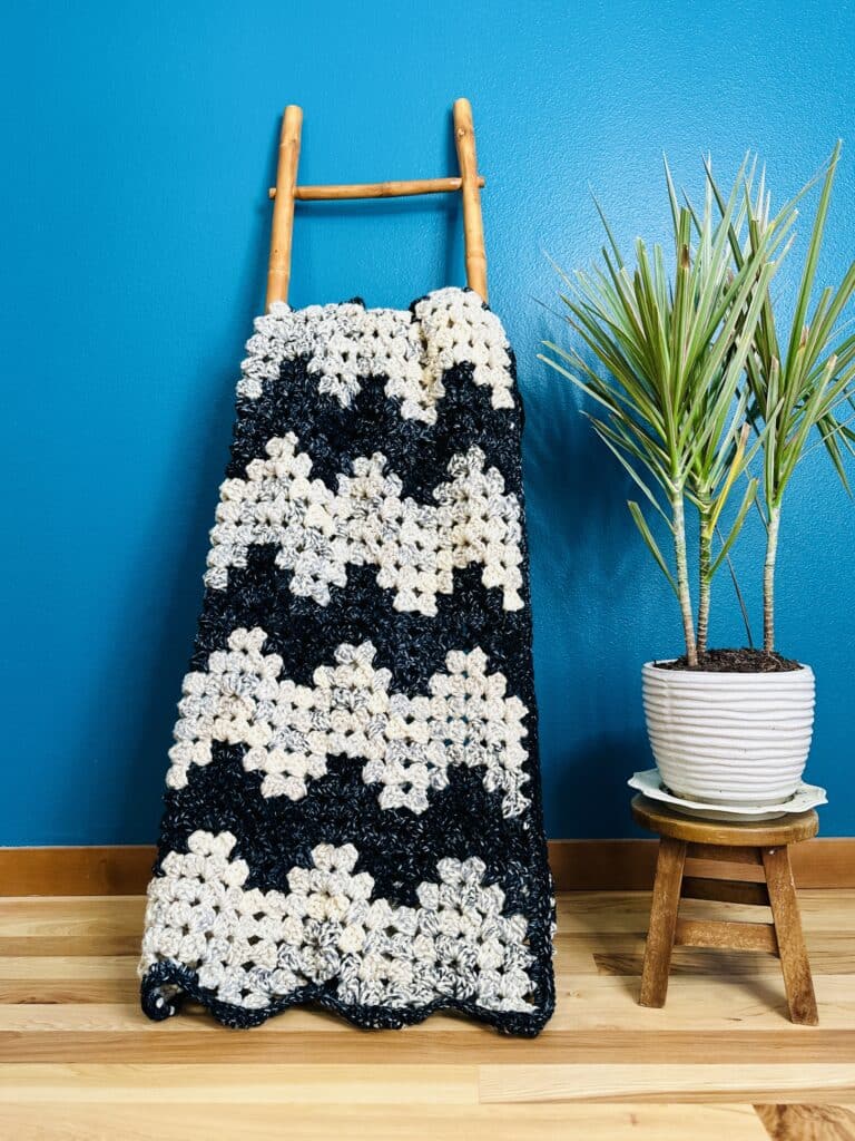 Salena Baca Crochet | My Crocheted Home Pattern Book | Crochet Home Decor | American Crochet Association